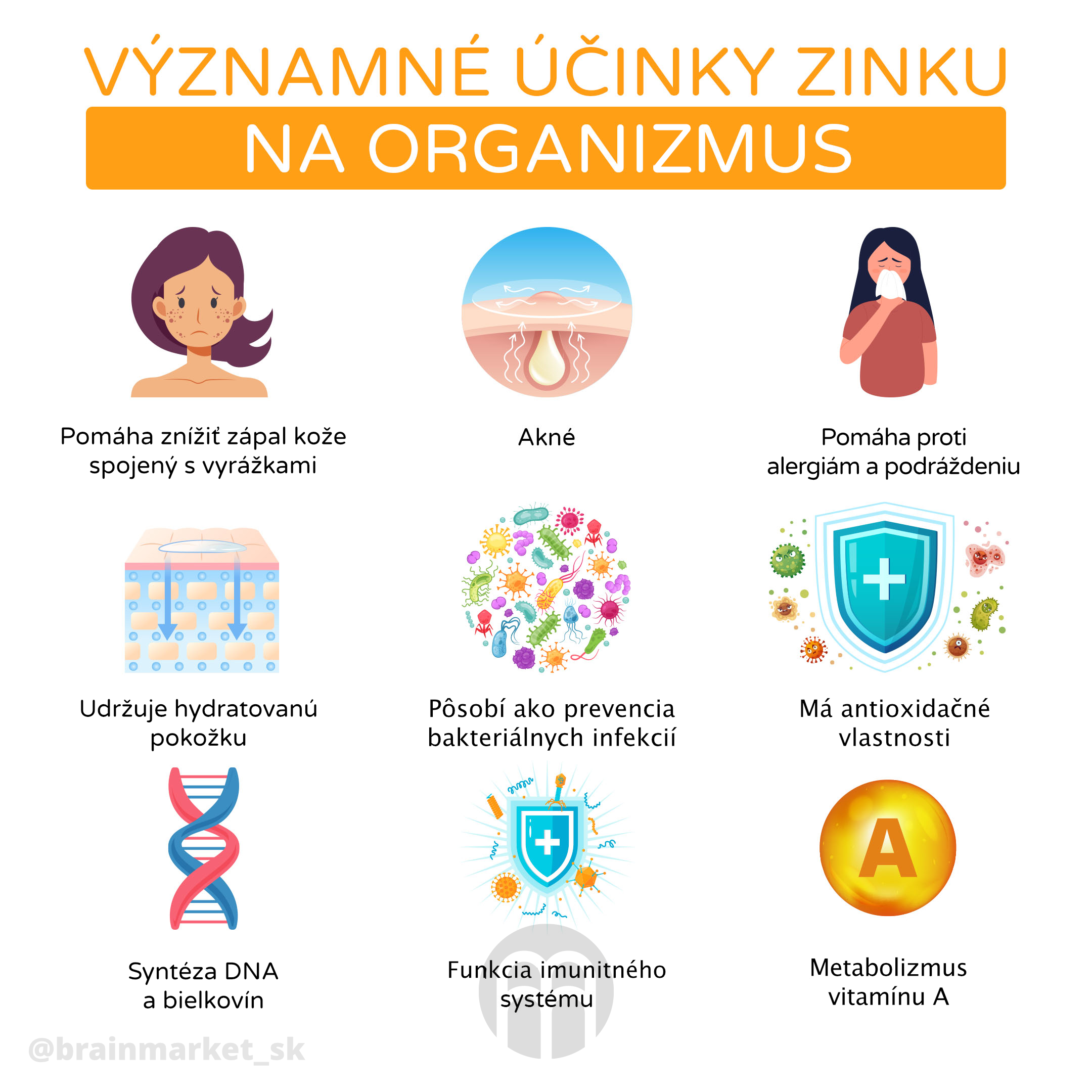 vyznamne_ucinky_zinek_infografika_brainmarket_CZ